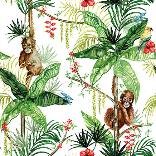 Ambiente Servietten Orangutan Dschungel  33x33cm 20 Stück