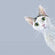 Lunch-Servietten CAT STELLA light blue 33x33cm 3-lagig 20 Stück / Packung