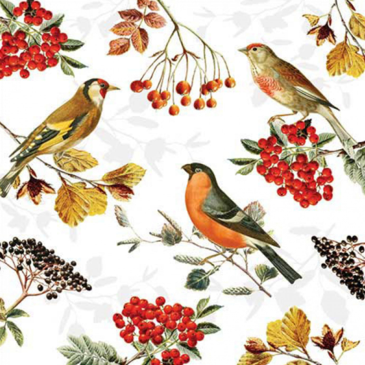 Ambiente Servietten Autumn Birds FSC Mix 33x33cm 20 Stück/Verpackung