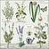 Ambiente Servietten Herbs Garden Gartenkräter 33x33cm 20 Stück