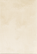 Sperrholz-Zuschnitt 21 x 30 x 0,3 cm Birke