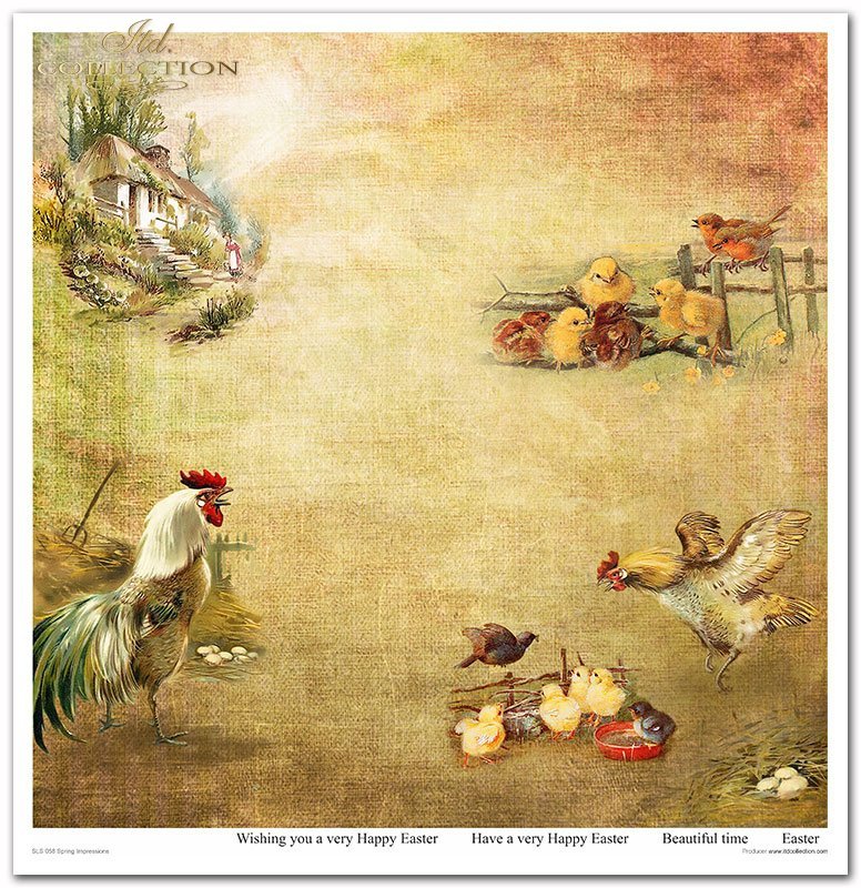 Spring Impressions Papier-Set 320x310mm 200g 10 Blatt