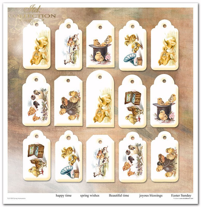 Spring Impressions Papier-Set 320x310mm 200g 10 Blatt