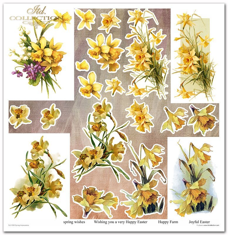 Spring Impressions Papier-Set 320x310mm 200g 10 Blatt