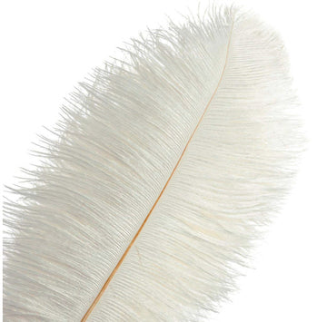 Straußenfeder weiß 40-45cm lang, pro Stück