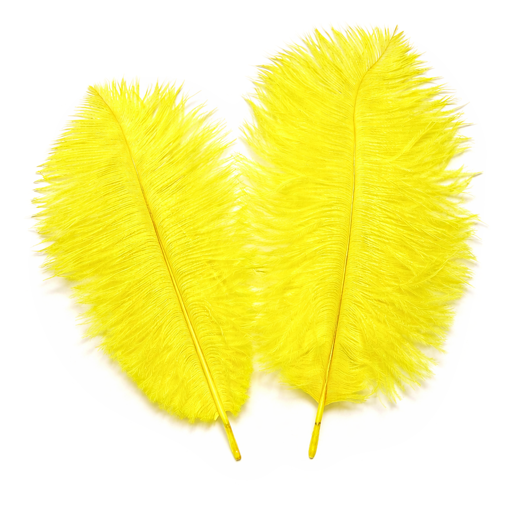 Straußen-Federn ca. 20 cm, 2 Stück/Pkg., gelb