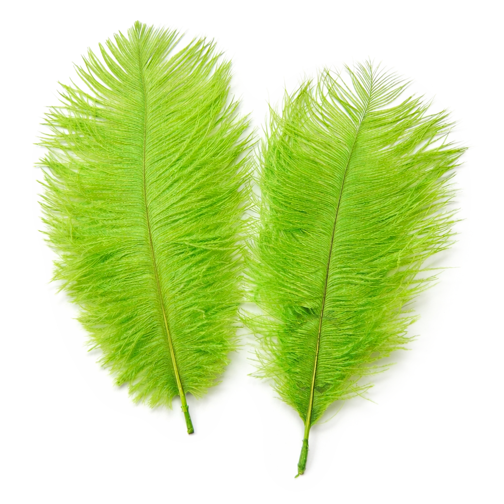 Straußen-Federn ca. 20 cm, 2 Stück/Pkg., apfelgrün
