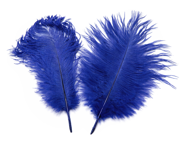 Straussen-Federn blau 20cm 2 Stück/Pkg.