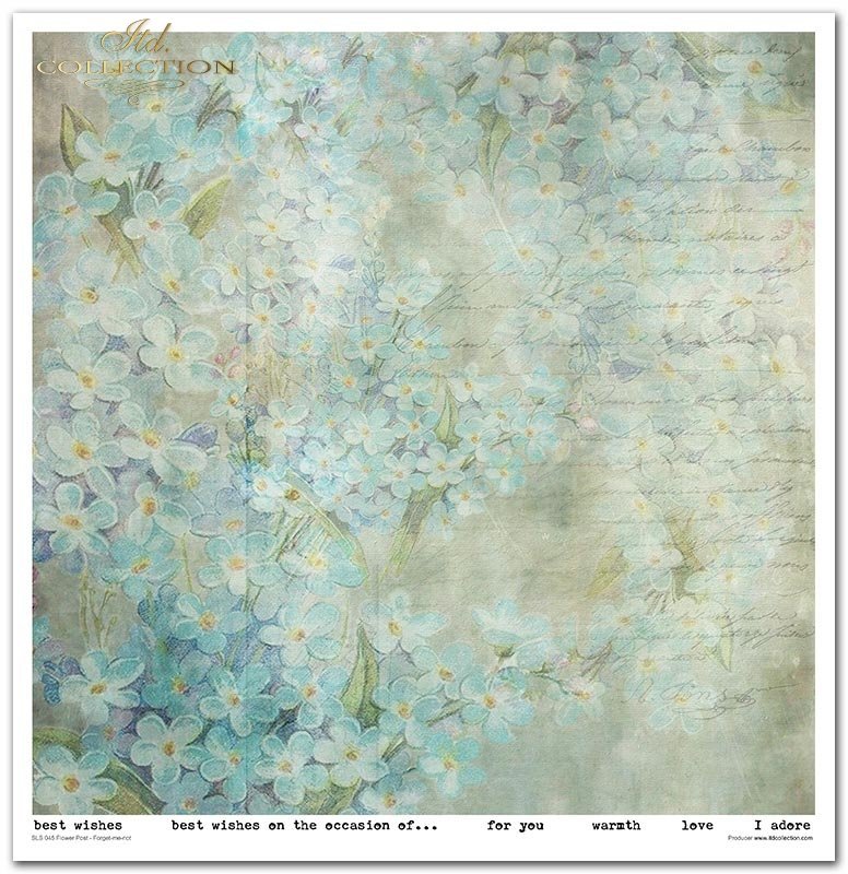 Scrapbooking-Papierset Blumenpost Vergissmeinnicht 10 Bögen 31x32cm 200g/m²
