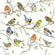 Ambiente Servietten Birds Meeting 33x33cm 20 Stück/Packung