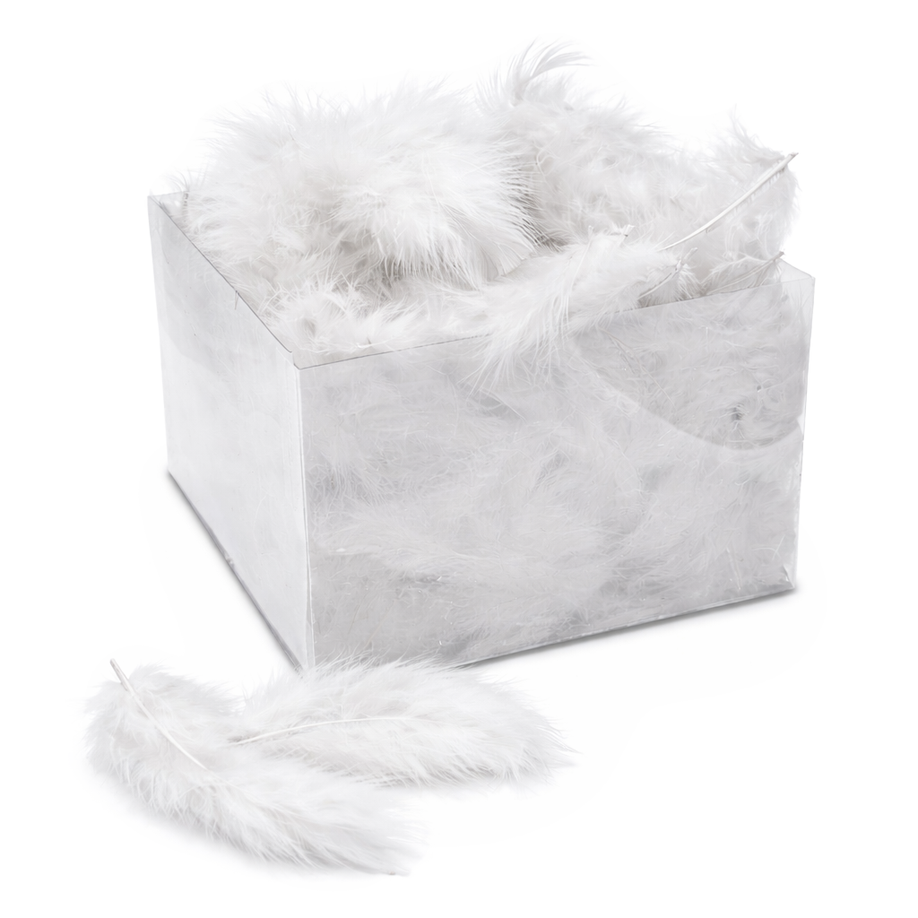 Marabufedern in Klarsichtschachtel Großpackung 50g