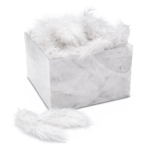 Marabufedern in Klarsichtschachtel Großpackung 50g