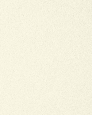 Trendyfilz Filzplatte 100 % Polyester 3mm 75x50cm