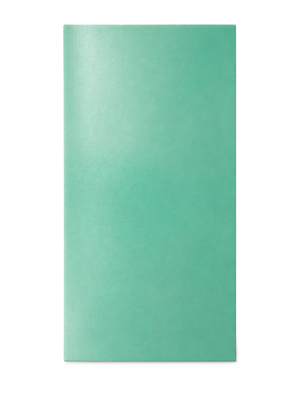Zera-Wachsplatte Perlmutt glänzend 200x100x0,5mm 1 Stück