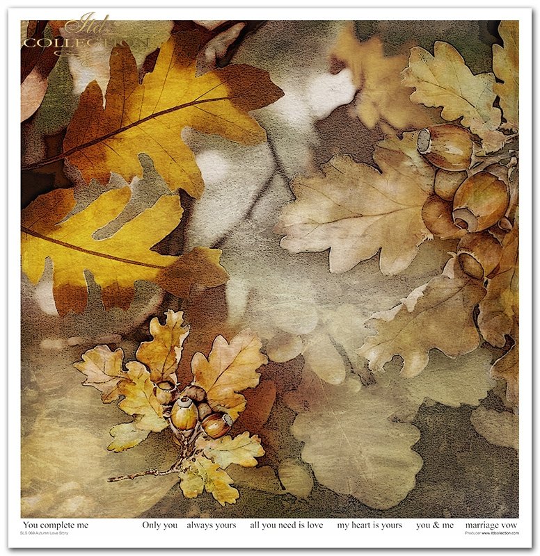 Papiere für Scrapbooking  Autumn Love Story 310x320 mm 200 g/m2 10 Stück 