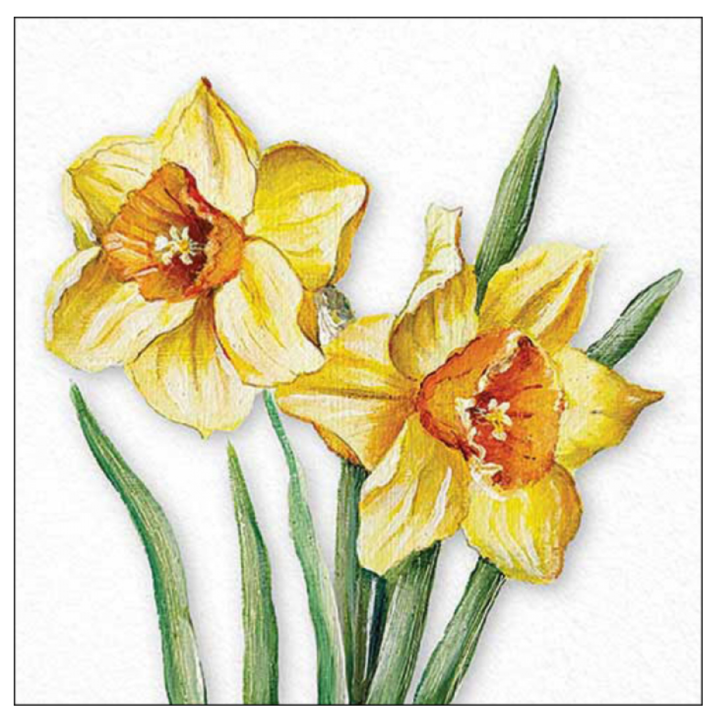 Servietten Flowering Daffodils FSC Mix 20 Stück pro Päckchen 33x33cm